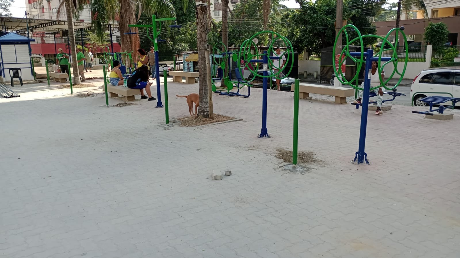 WhatsApp Image 2023-05-04 at 09.20.04